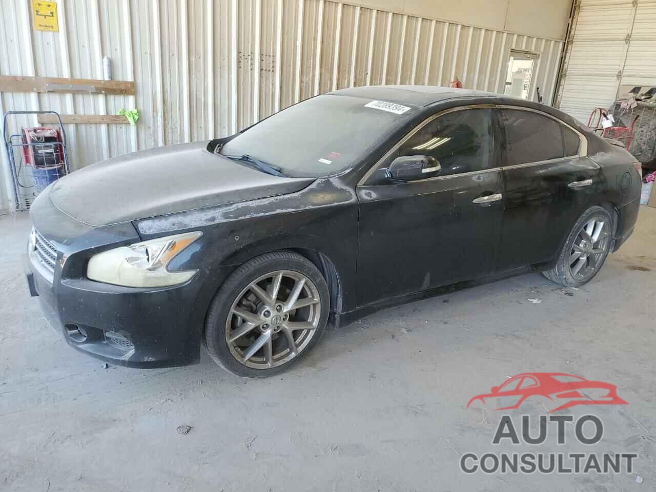 NISSAN MAXIMA 2010 - 1N4AA5APXAC854252