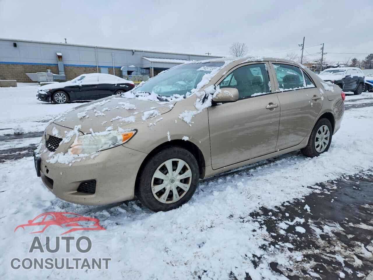 TOYOTA COROLLA 2010 - 2T1BU4EEXAC248515