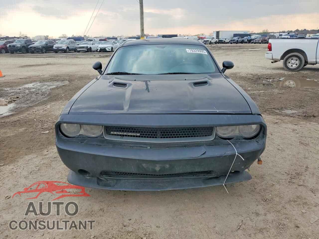 DODGE CHALLENGER 2014 - 2C3CDYAG0EH311530