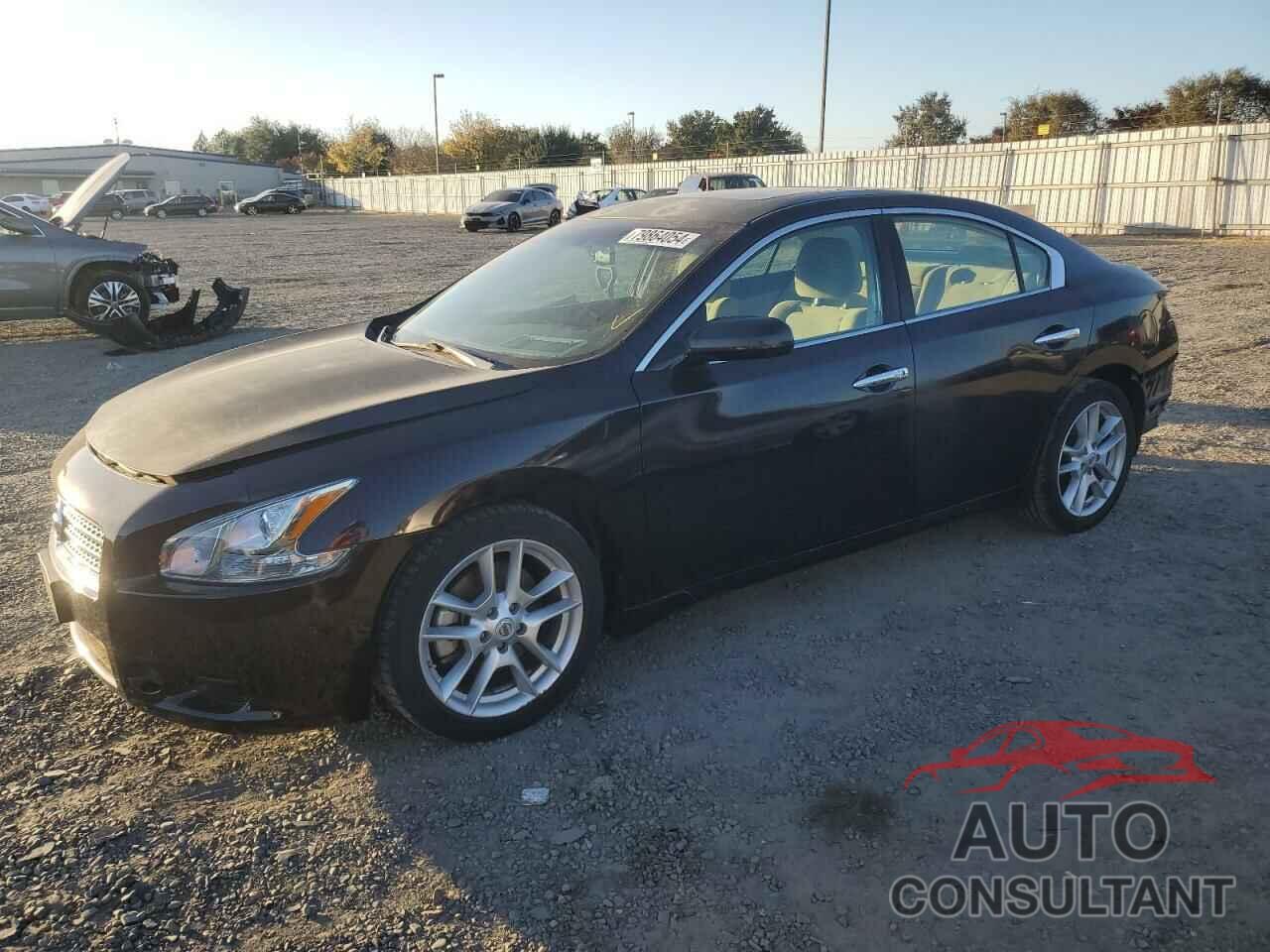 NISSAN MAXIMA 2011 - 1N4AA5AP6BC857599