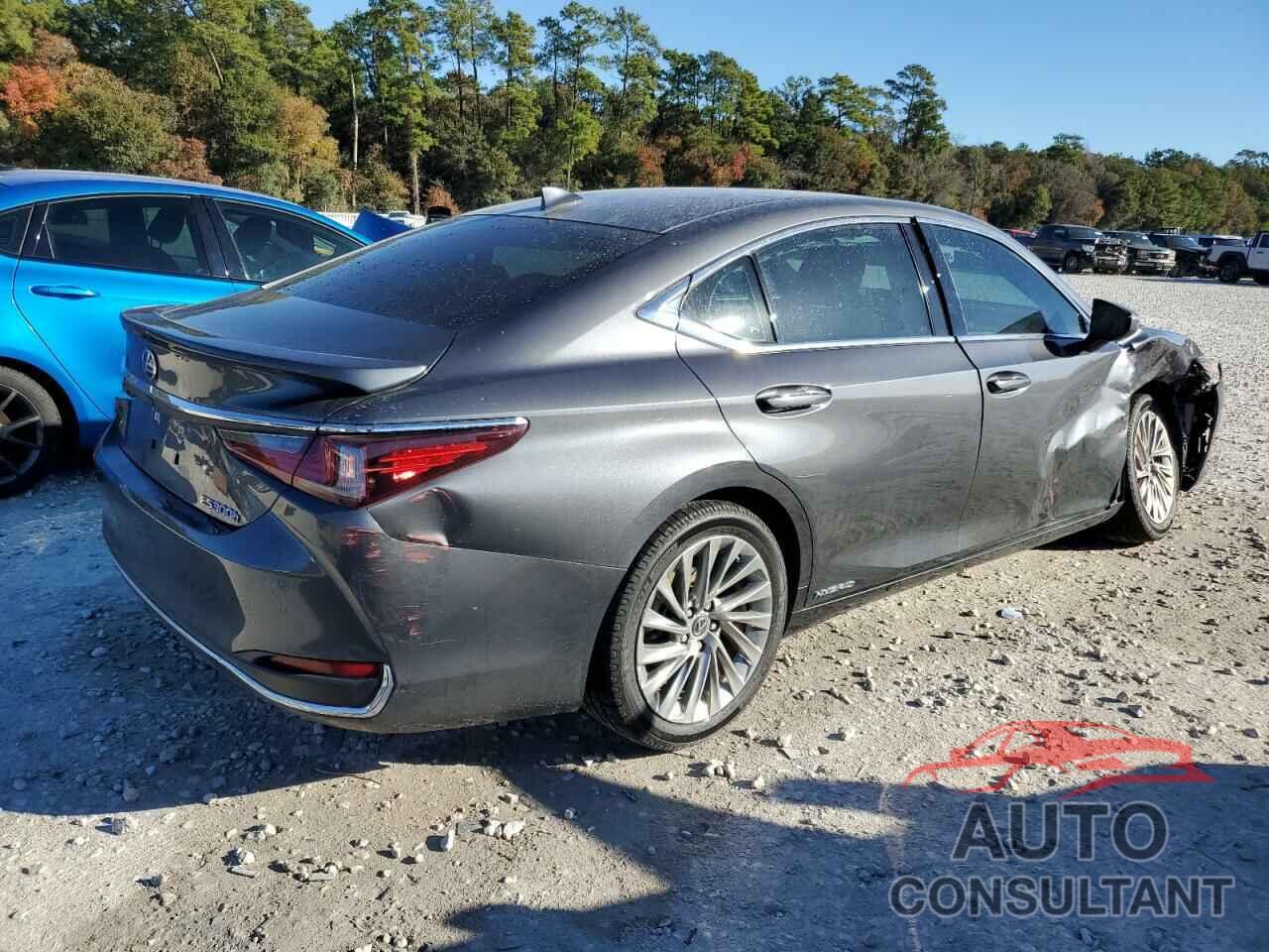 LEXUS ES300 2022 - 58AFA1C10NU015250