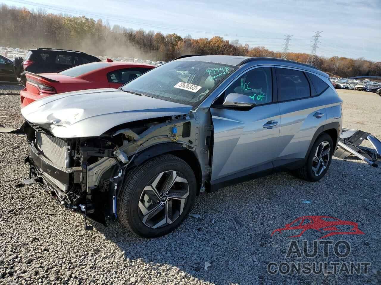 HYUNDAI TUCSON 2024 - 5NMJF3DE2RH316894