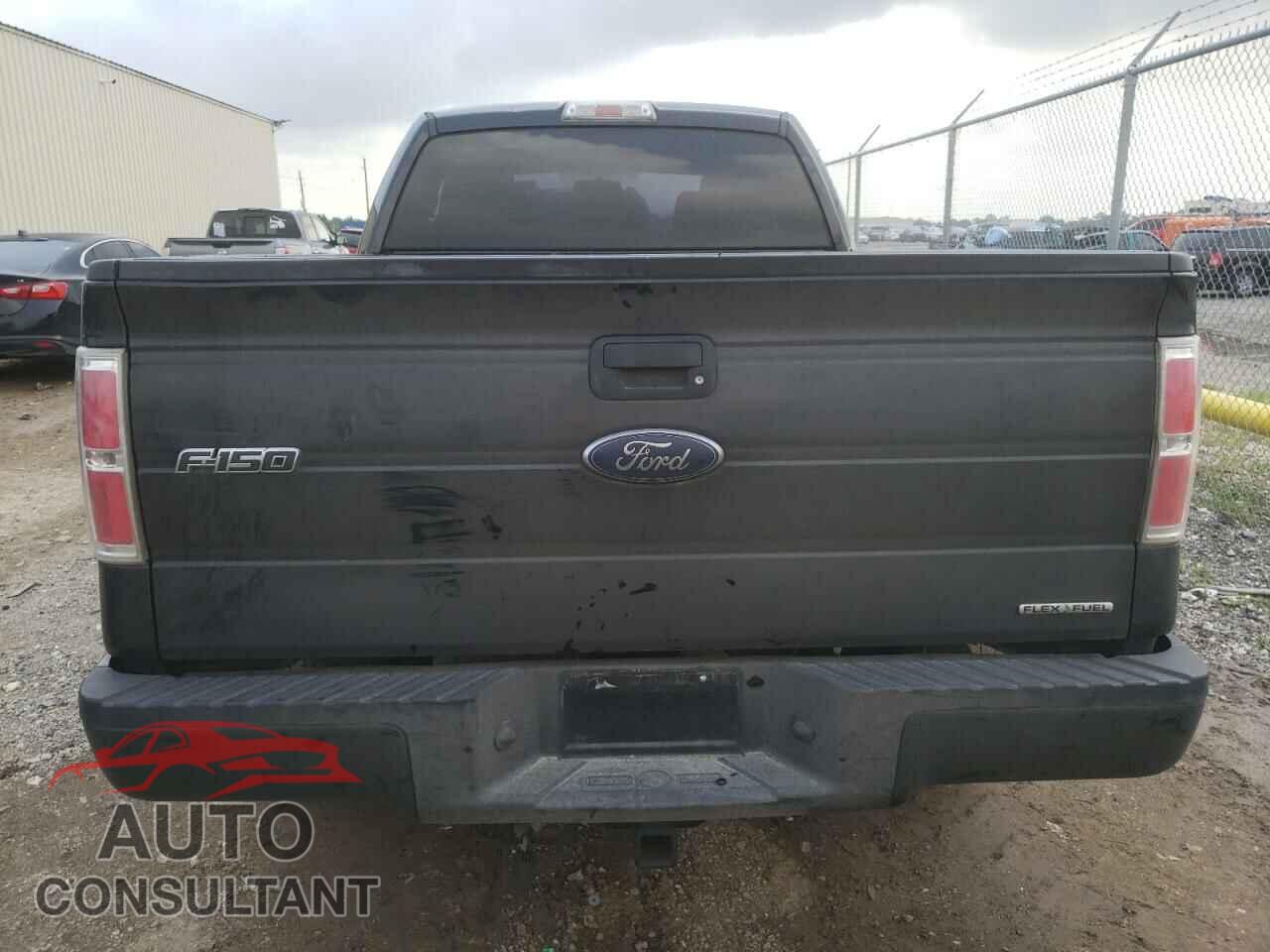 FORD F-150 2013 - 1FTFX1CF3DFD45344
