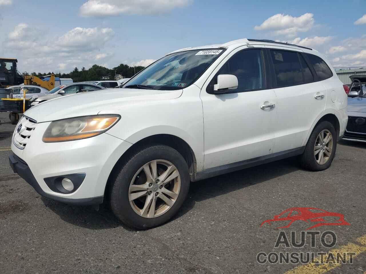 HYUNDAI SANTA FE 2010 - 5NMSKDAG5AH337304