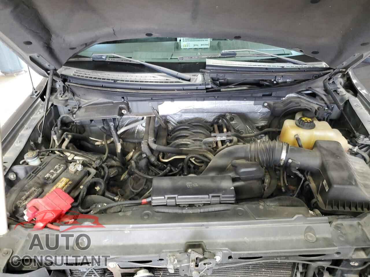 FORD F-150 2012 - 1FTFX1EFXCFC46645