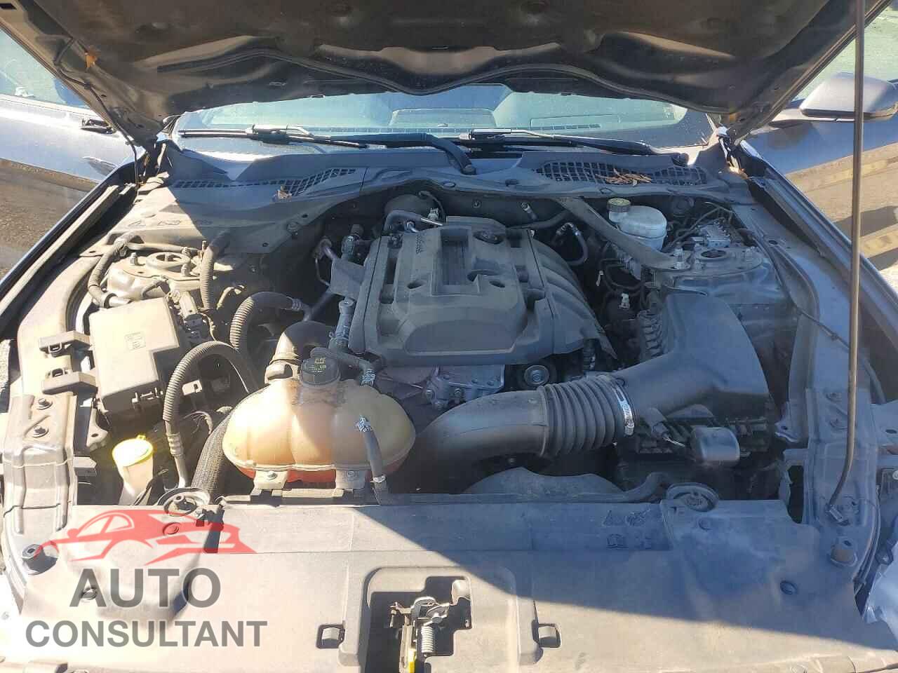 FORD MUSTANG 2019 - 1FATP8UH4K5184409