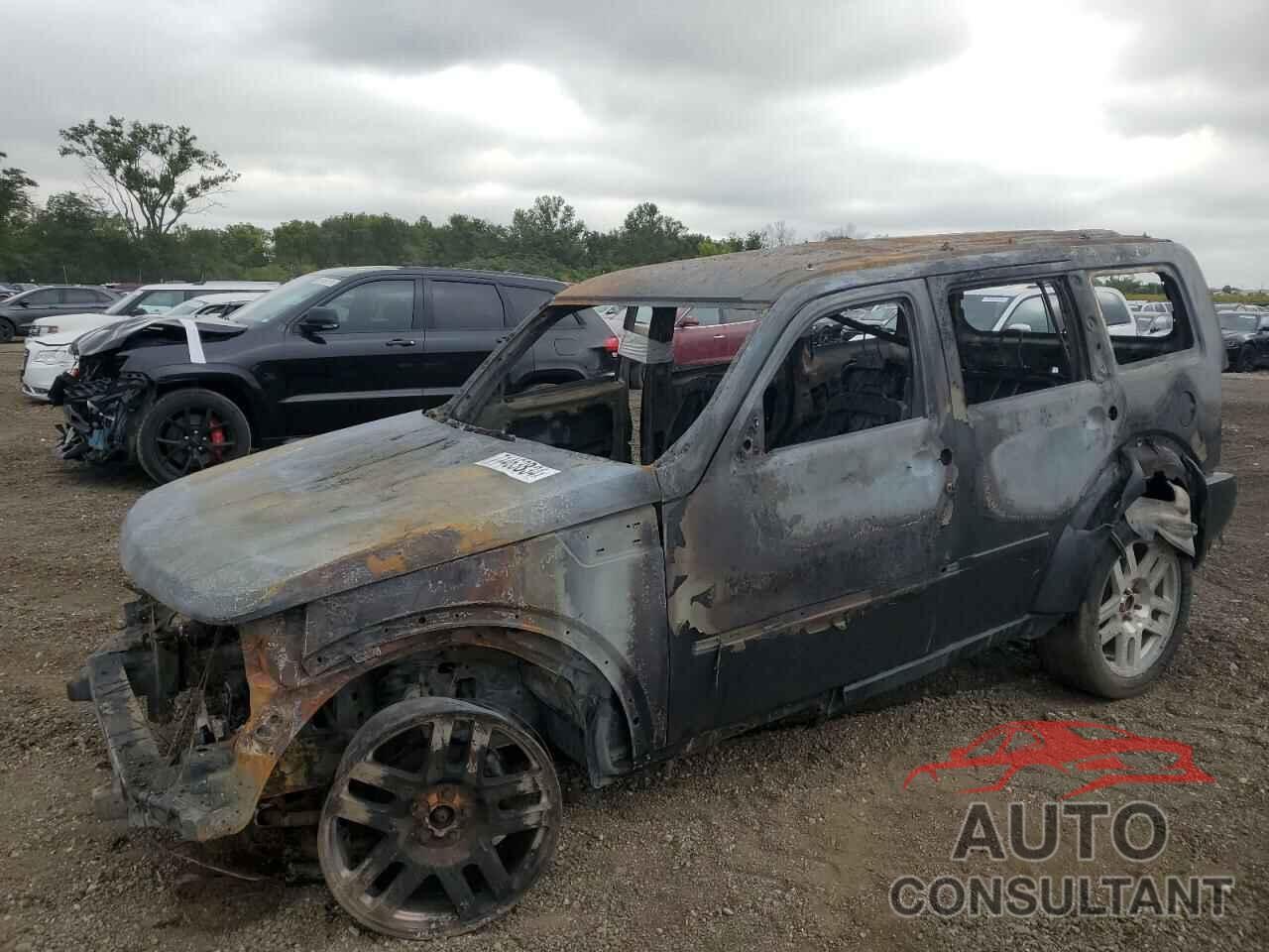 DODGE NITRO 2011 - 1D4PU4GK8BW554438