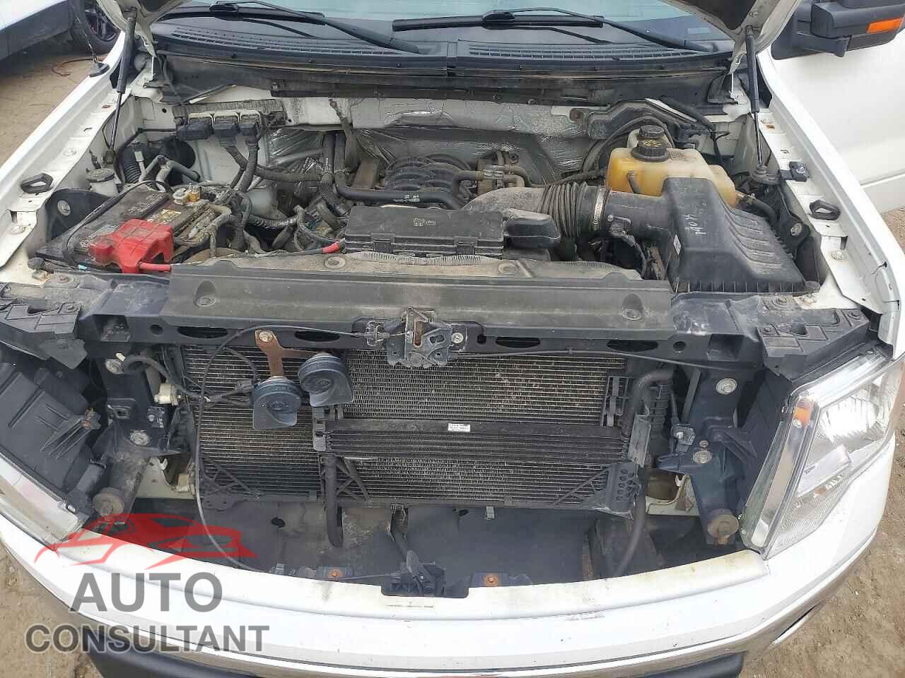 FORD F150 2013 - 1FTFW1EF4DFD80393