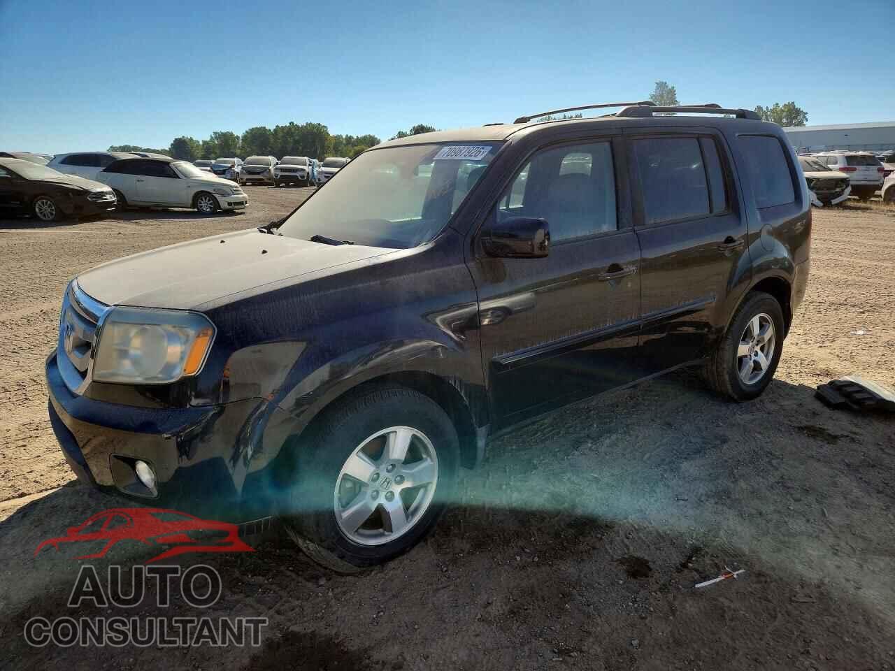 HONDA PILOT 2010 - 5FNYF3H56AB015754