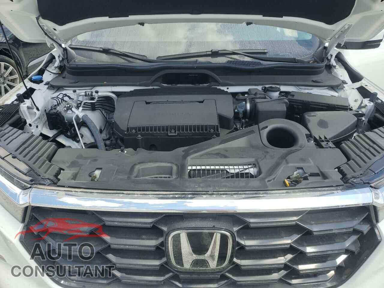 HONDA PILOT 2024 - 5FNYG2H77RB013371