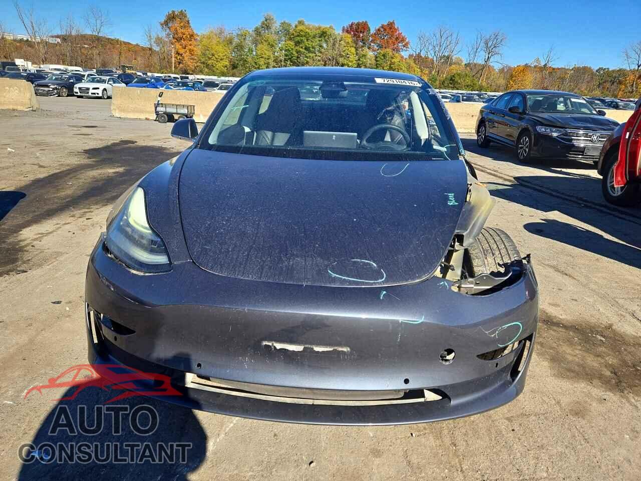 TESLA MODEL 3 2019 - 5YJ3E1EA5KF311207
