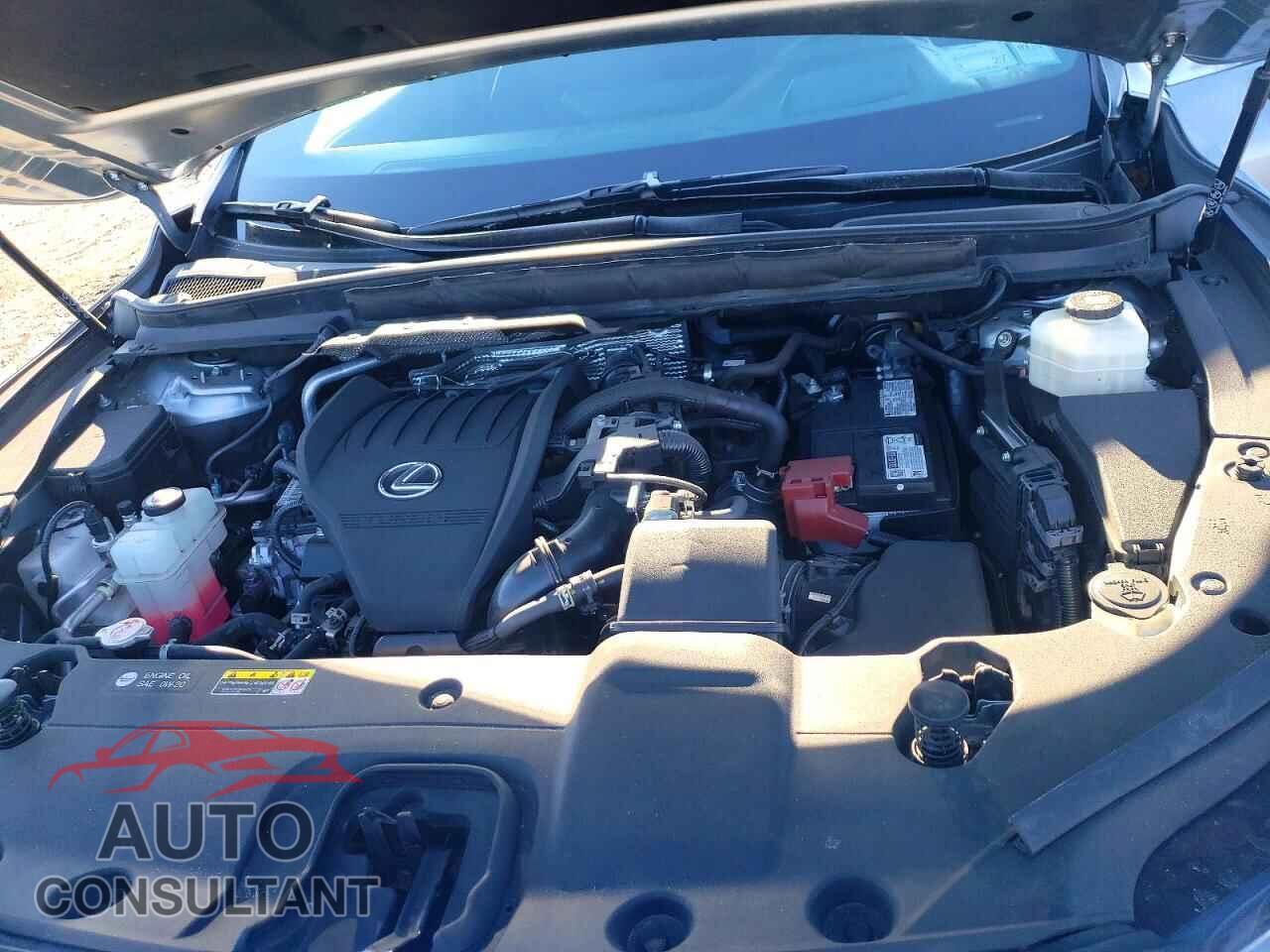 LEXUS RX350 2023 - 2T2BAMCA5PC013338