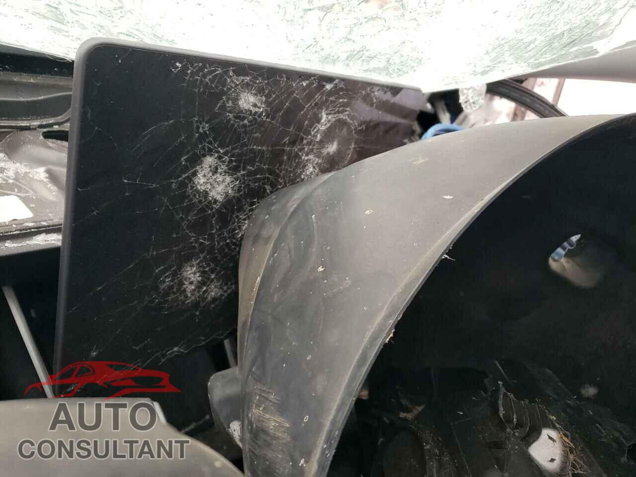 TESLA MODEL 3 2019 - 5YJ3E1EA2KF517617