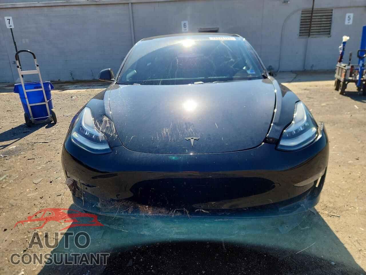 TESLA MODEL 3 2019 - 5YJ3E1EA9KF361818