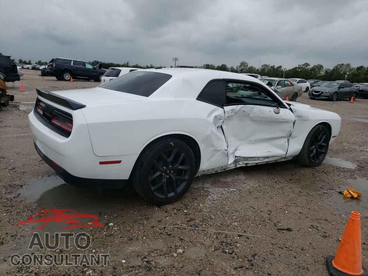 DODGE CHALLENGER 2019 - 2C3CDZAG7KH717046