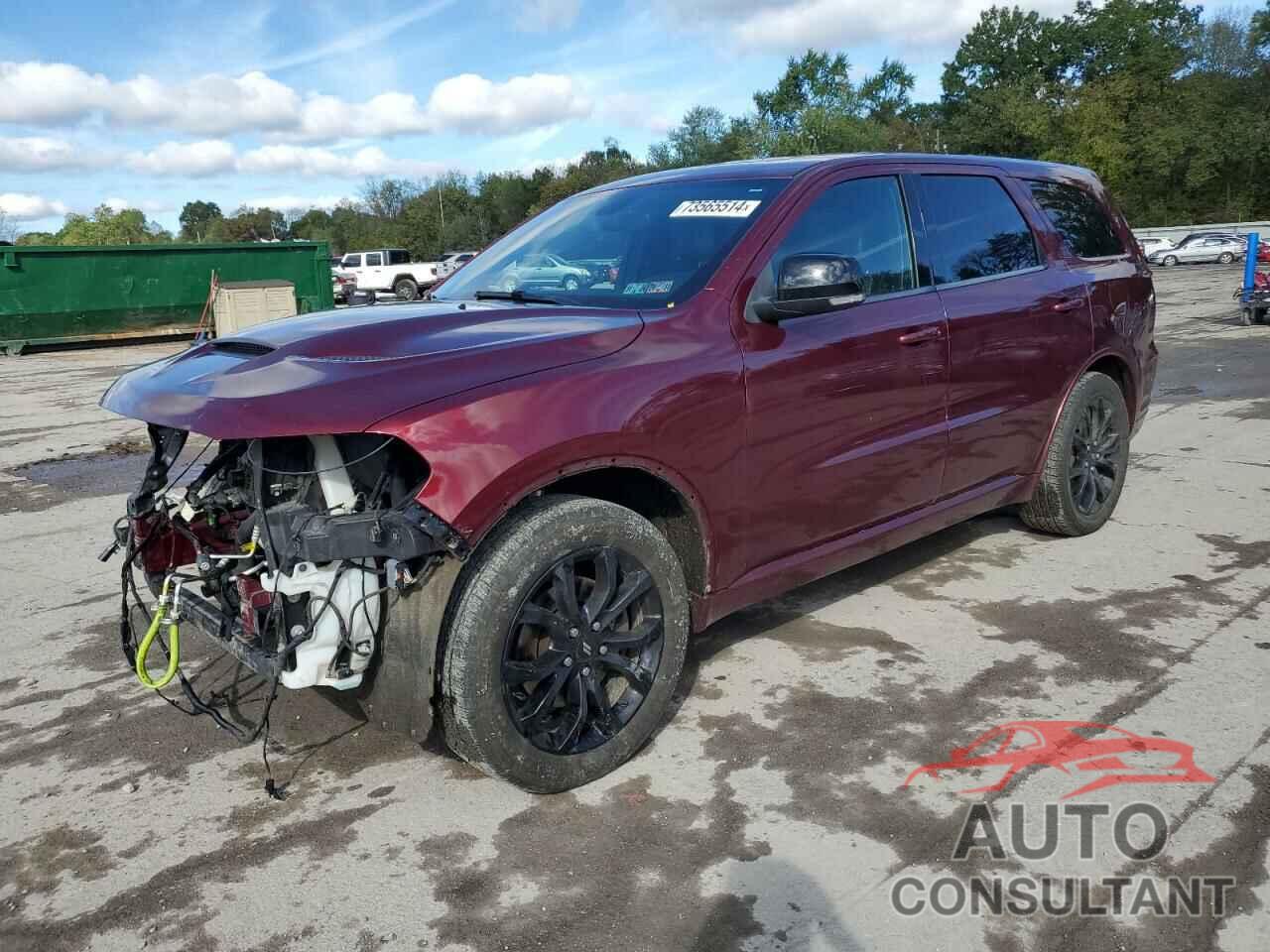 DODGE DURANGO 2019 - 1C4SDJCT8KC811992