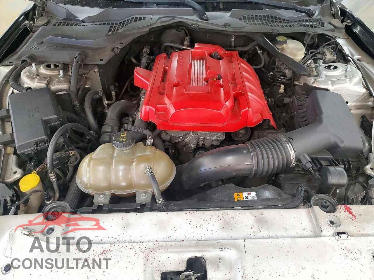 FORD MUSTANG 2016 - 1FA6P8TH8G5331658