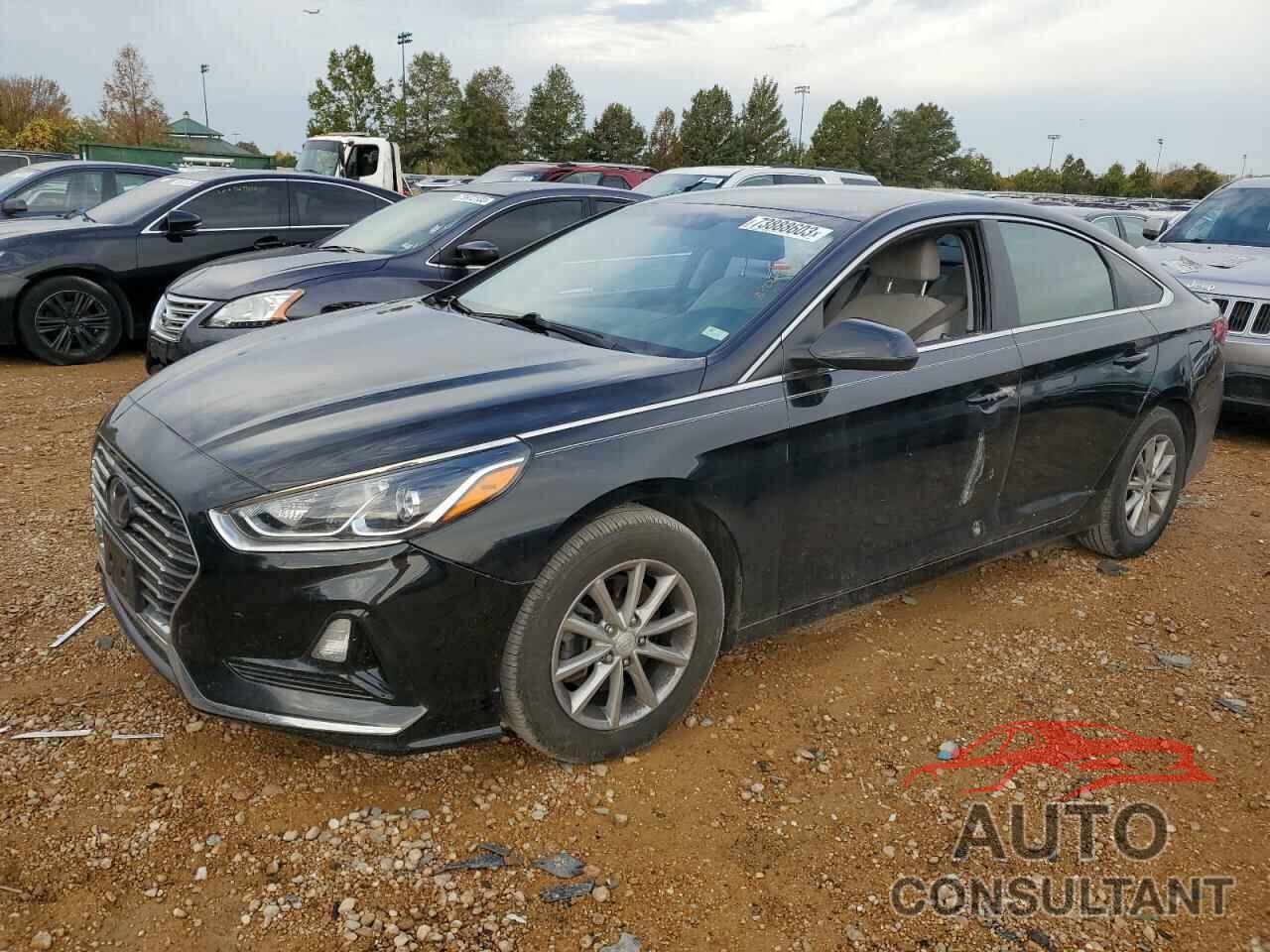HYUNDAI SONATA 2019 - 5NPE24AF2KH786447