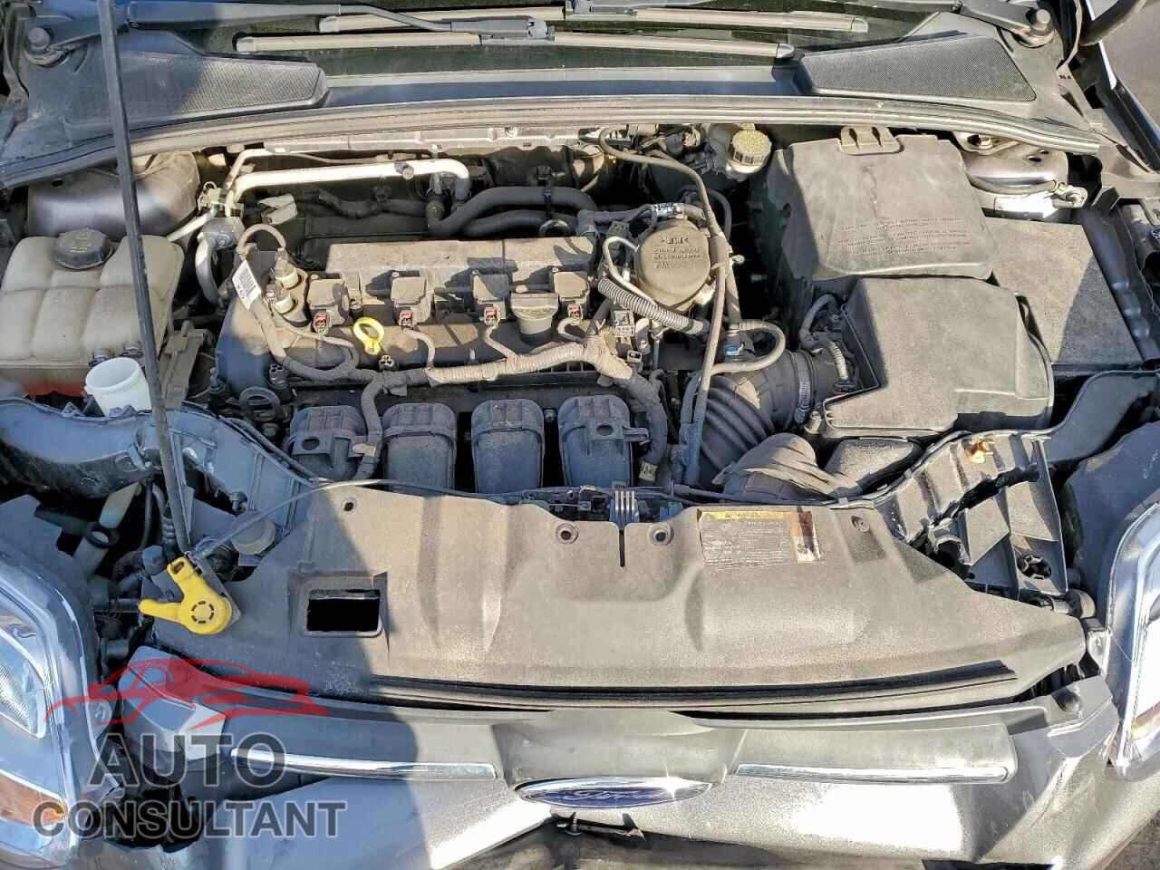 FORD FOCUS 2014 - 1FADP3F28EL179231