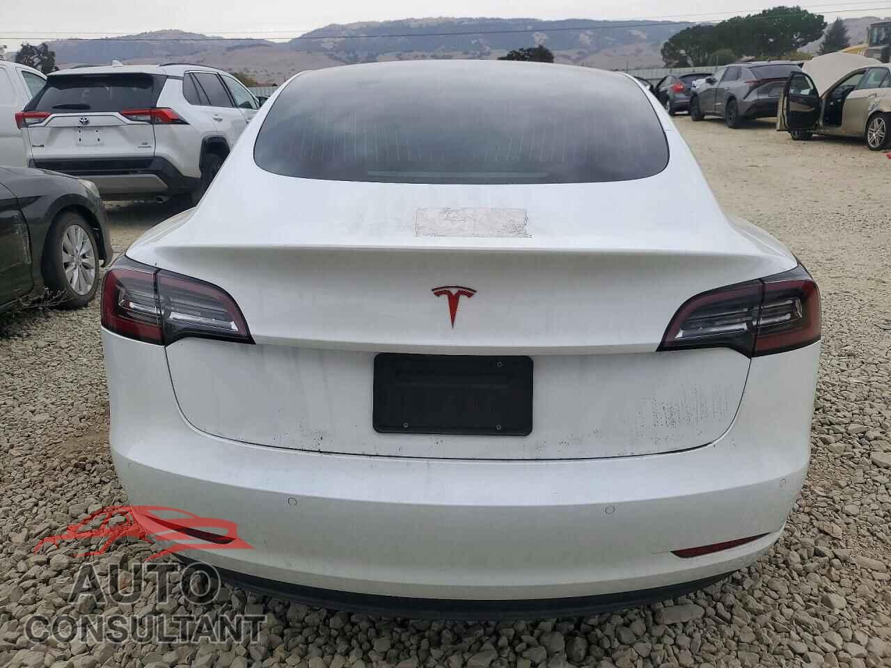 TESLA MODEL 3 2019 - 5YJ3E1EA8KF474238