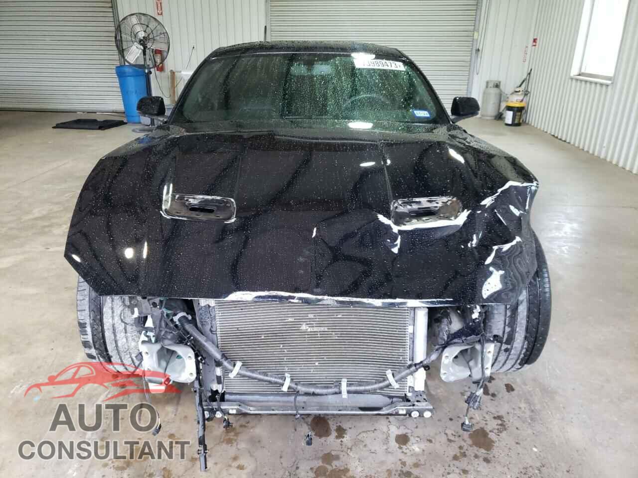 FORD MUSTANG 2019 - 1FA6P8CF8K5106051