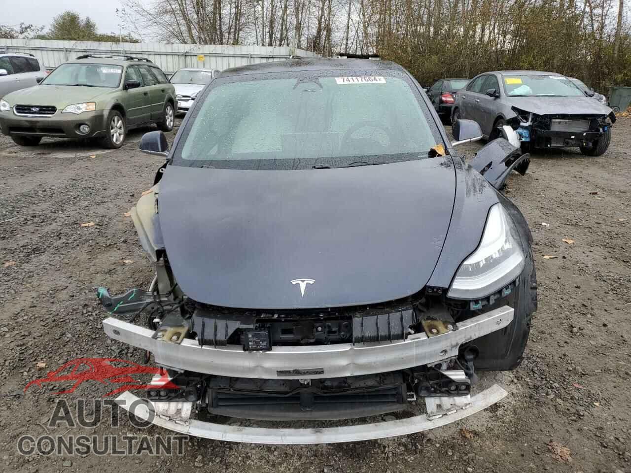 TESLA MODEL 3 2019 - 5YJ3E1EA0KF302379