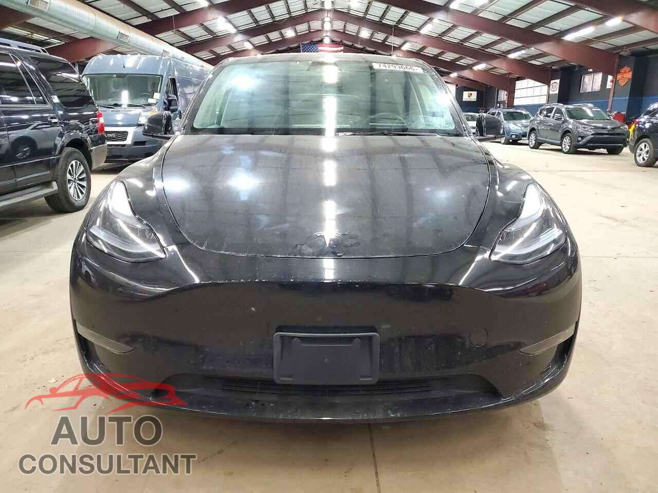 TESLA MODEL Y 2024 - 7SAYGDEE2RF131278