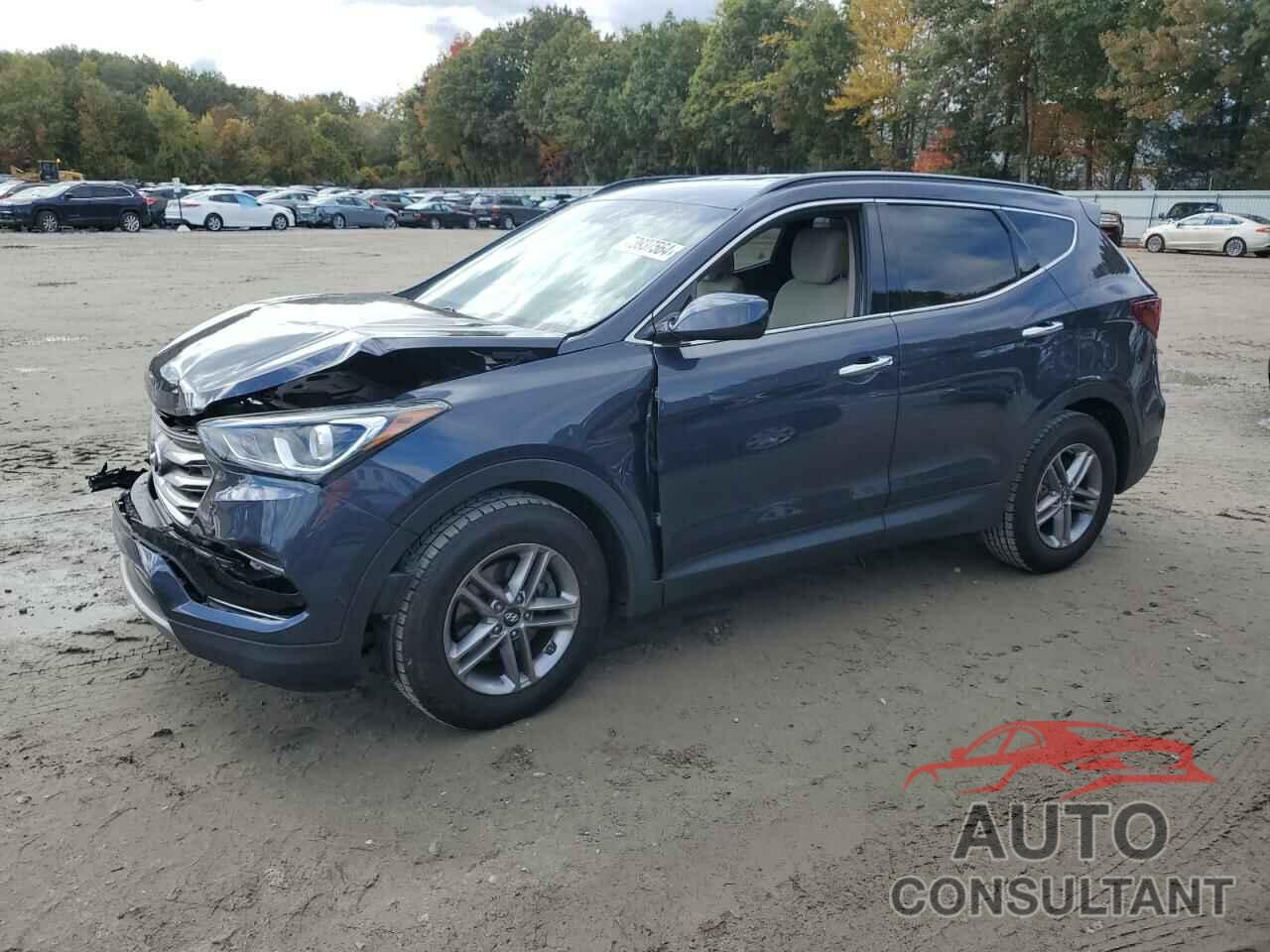 HYUNDAI SANTA FE 2017 - 5NMZUDLB7HH028695