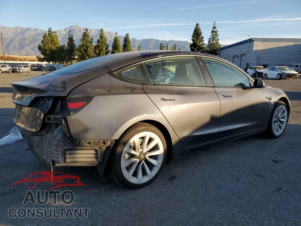 TESLA MODEL 3 2022 - 5YJ3E1EA8NF143499