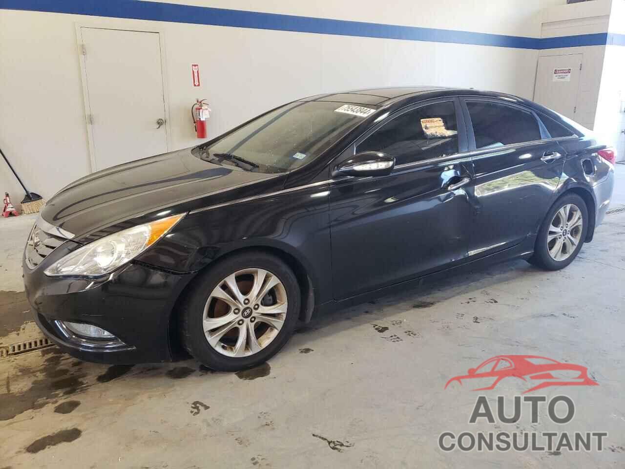 HYUNDAI SONATA 2013 - 5NPEC4AC2DH790150