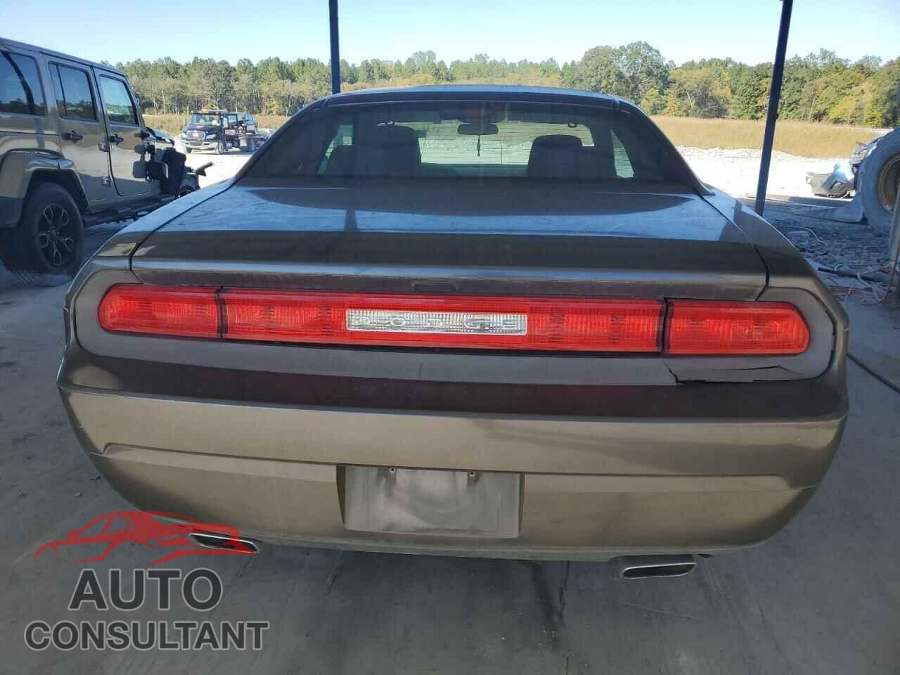 DODGE CHALLENGER 2013 - 2C3CDYAG6DH704379