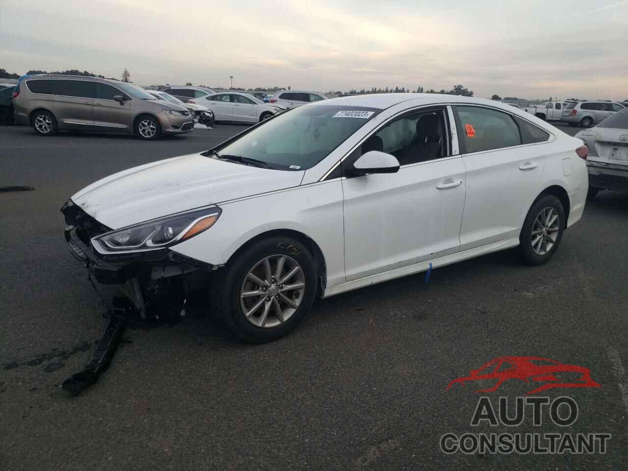 HYUNDAI SONATA 2019 - 5NPE24AF6KH762779