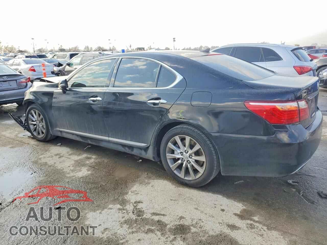 LEXUS LS460 2011 - JTHCL5EF8B5010066