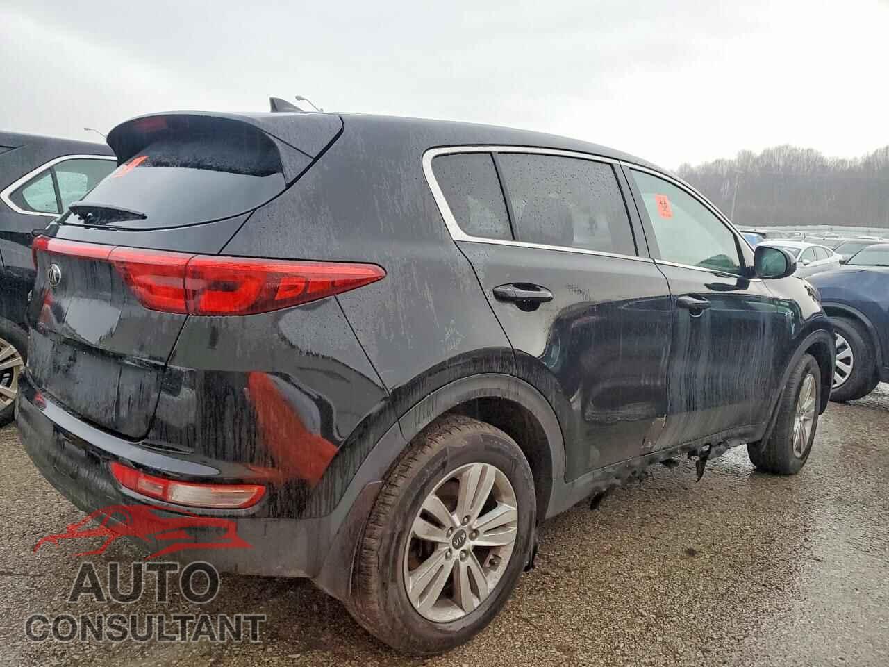 KIA SPORTAGE 2017 - KNDPMCAC1H7243302