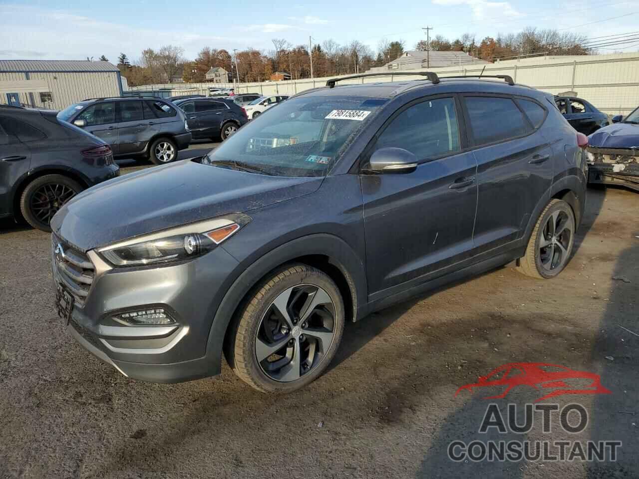 HYUNDAI TUCSON 2016 - KM8J33A28GU186821