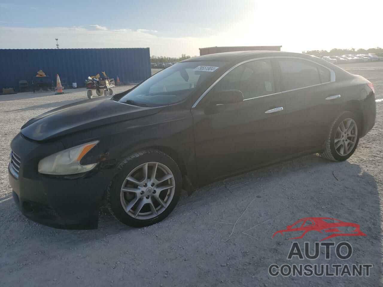 NISSAN MAXIMA 2011 - 1N4AA5AP6BC817930