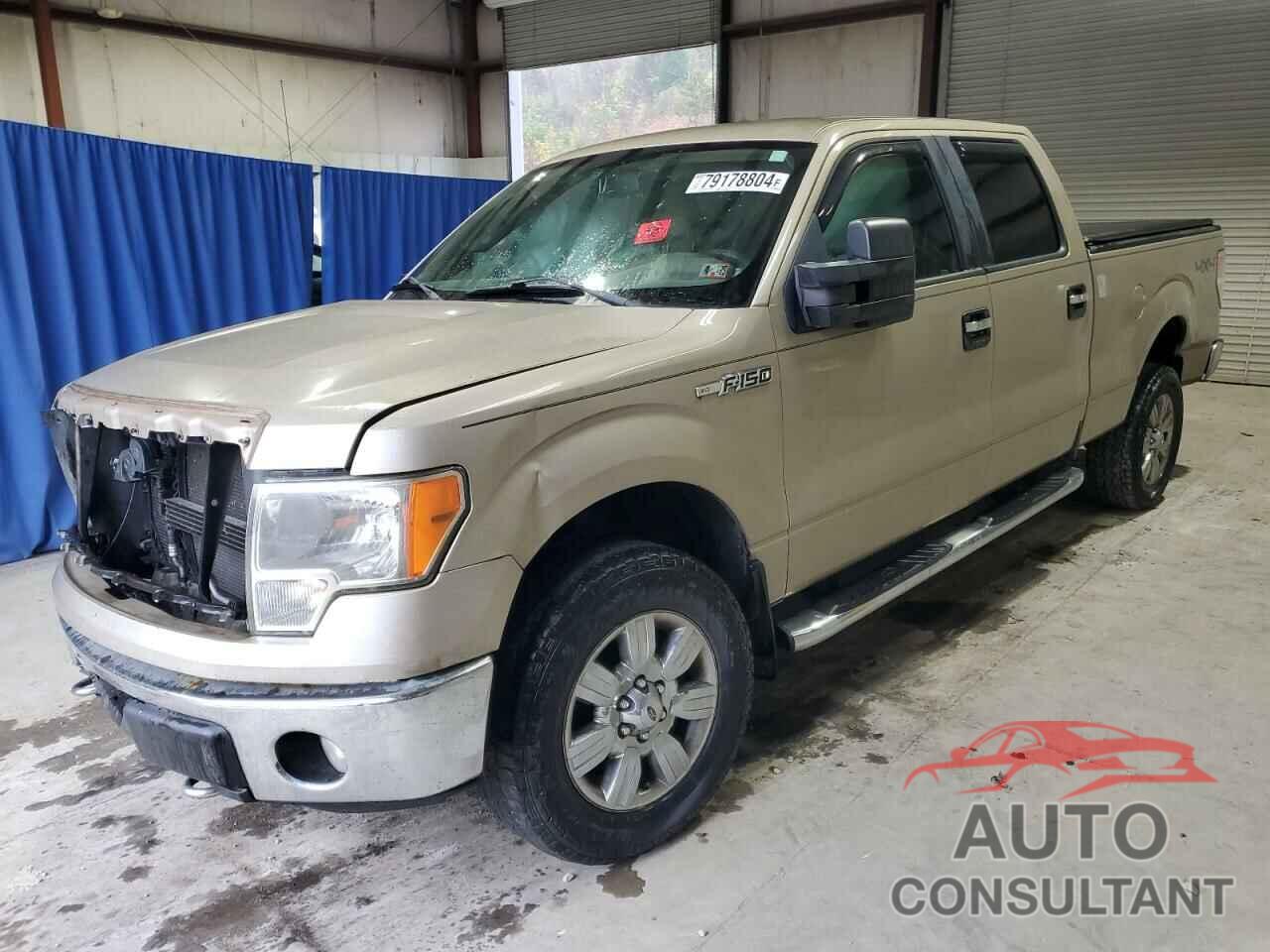 FORD F-150 2010 - 1FTFW1EV2AFC07216