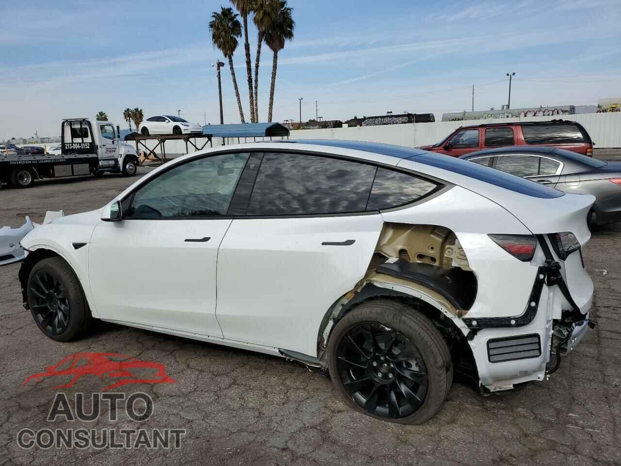 TESLA MODEL Y 2022 - 7SAYGDEE8NF509291