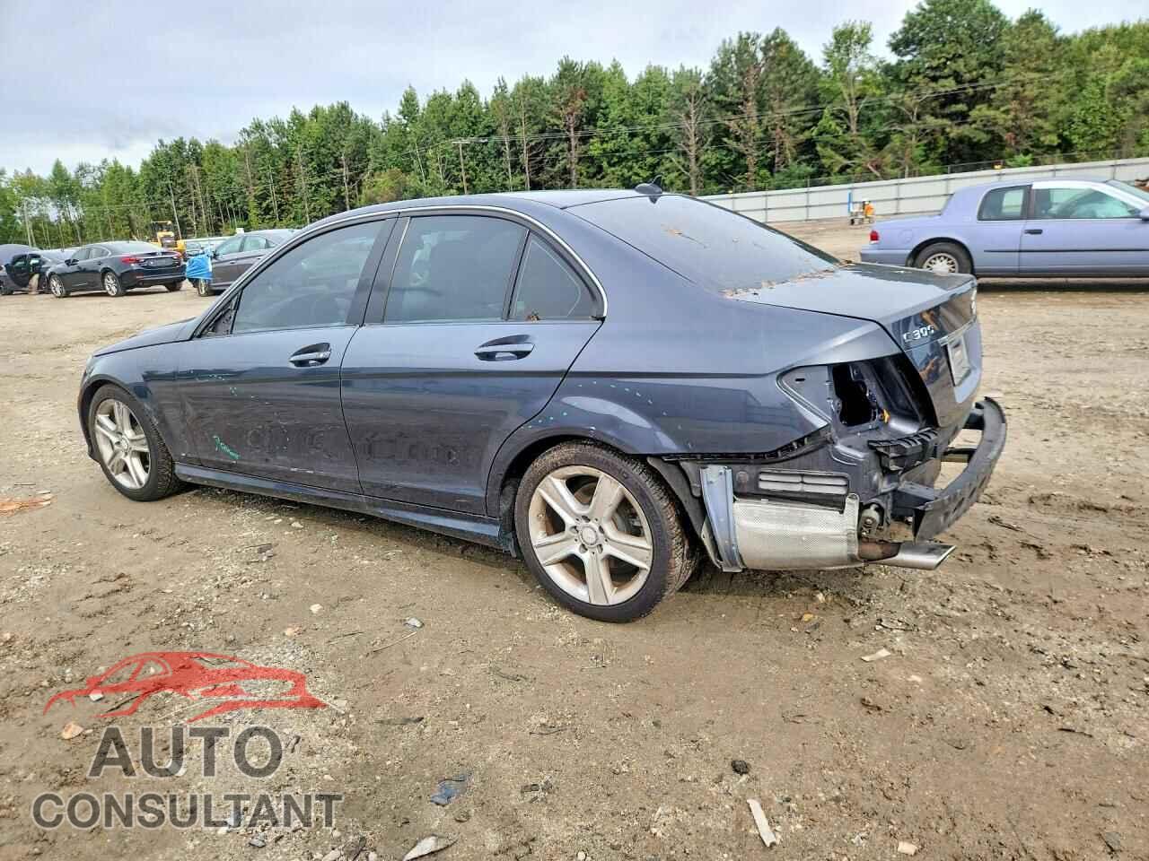MERCEDES-BENZ C-CLASS 2010 - WDDGF5EB9AA401360