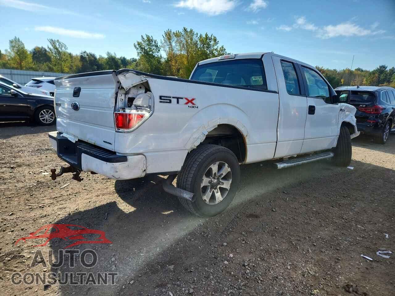 FORD F150 2013 - 1FTFX1EF4DFA01051