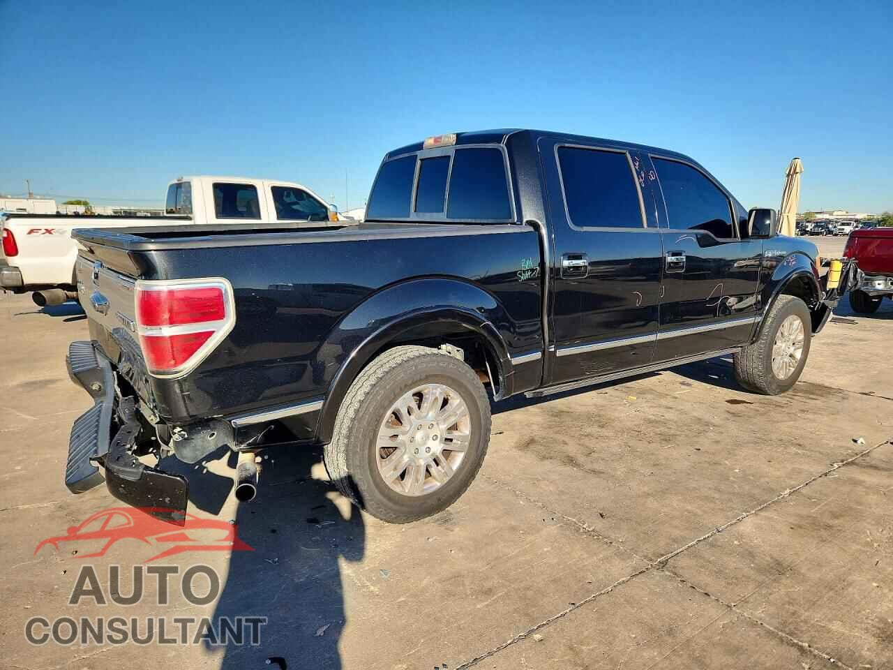 FORD F150 2010 - 1FTFW1CV0AFA43855