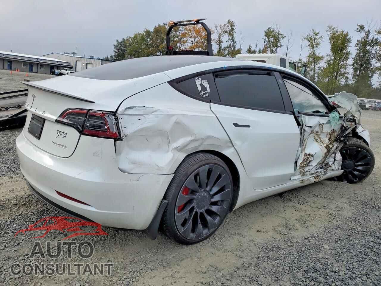 TESLA MODEL 3 2023 - 5YJ3E1EC5PF419142