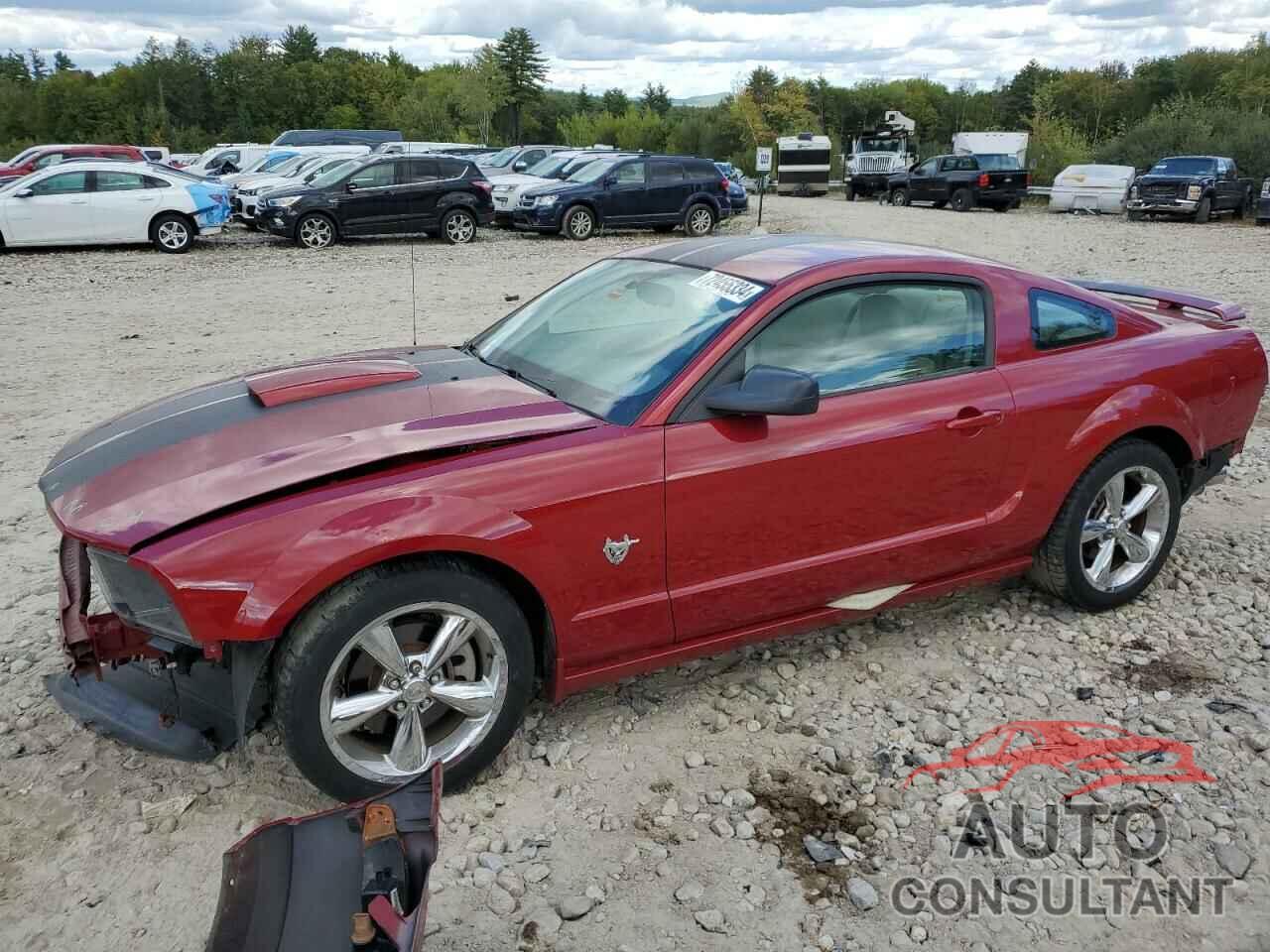 FORD MUSTANG 2009 - 1ZVHT82HX95103967