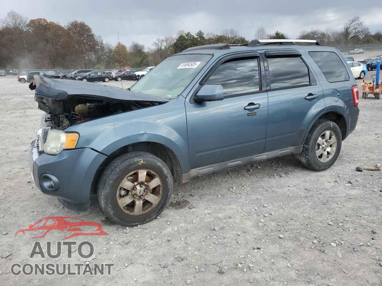 FORD ESCAPE 2011 - 1FMCU0E73BKB47634