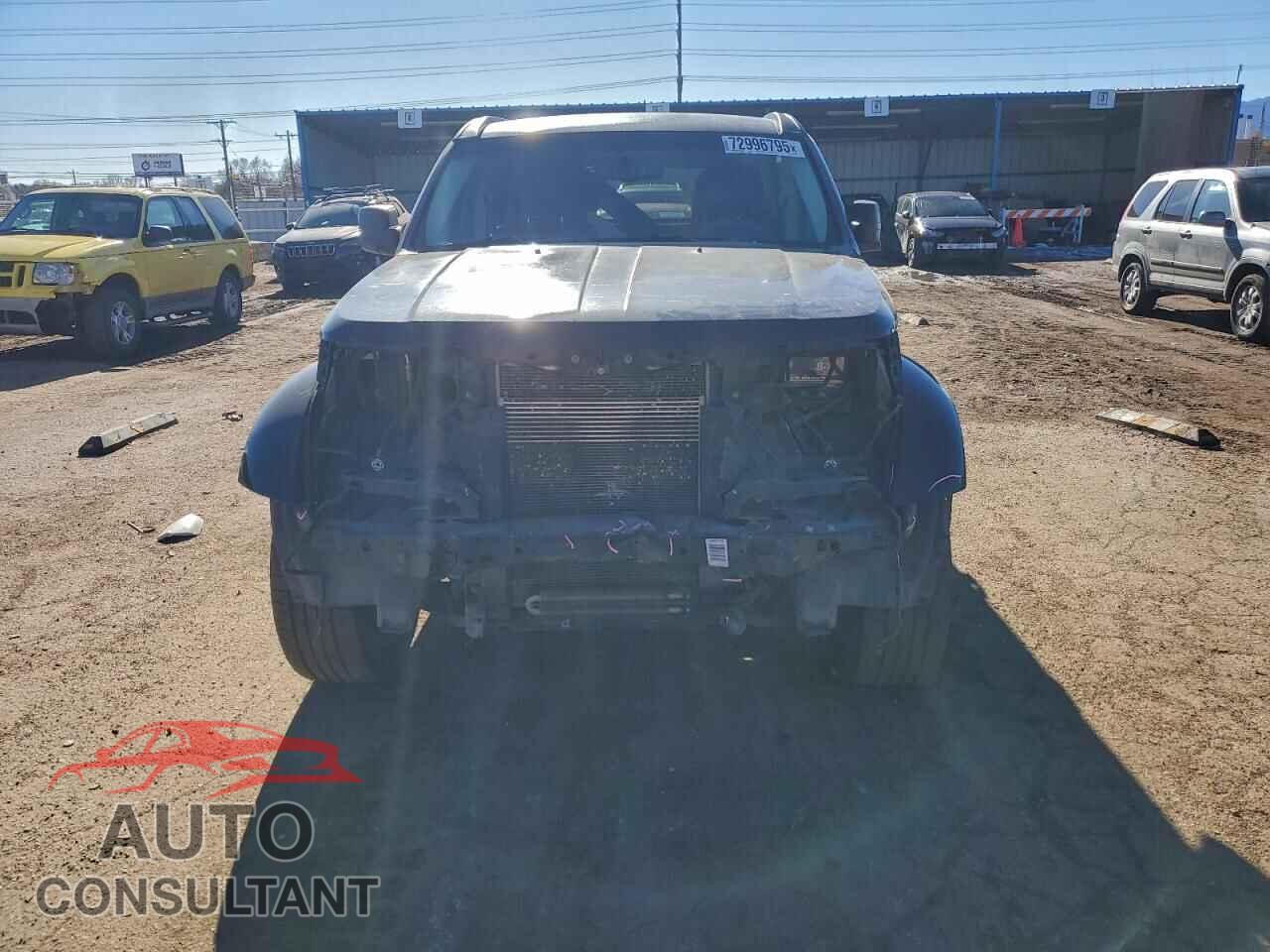 DODGE NITRO 2011 - 1D4PU4GX3BW607459