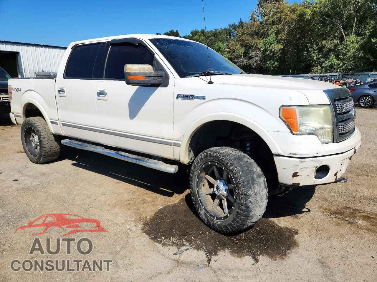 FORD F150 2010 - 1FTFW1EV8AFA73876