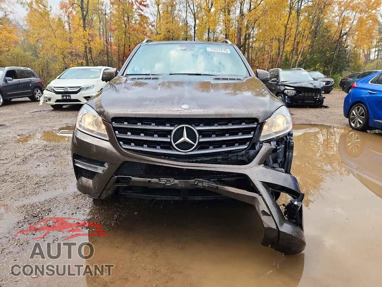 MERCEDES-BENZ M-CLASS 2015 - 4JGDA2EB0FA511100