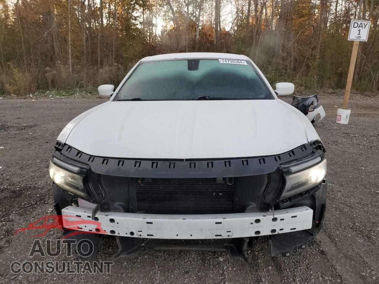 DODGE CHARGER 2019 - 2C3CDXBG9KH628405