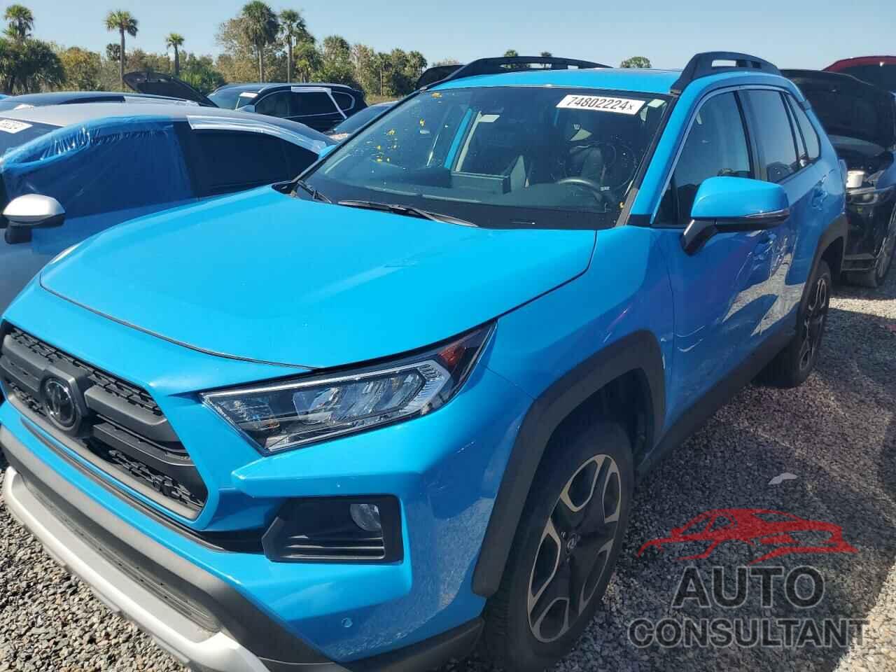 TOYOTA RAV4 2019 - 2T3J1RFV5KW005864