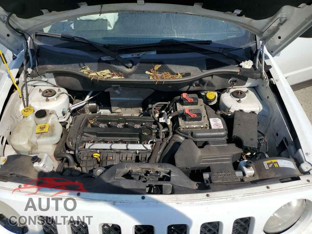 JEEP PATRIOT 2014 - 1C4NJPBA2ED881429